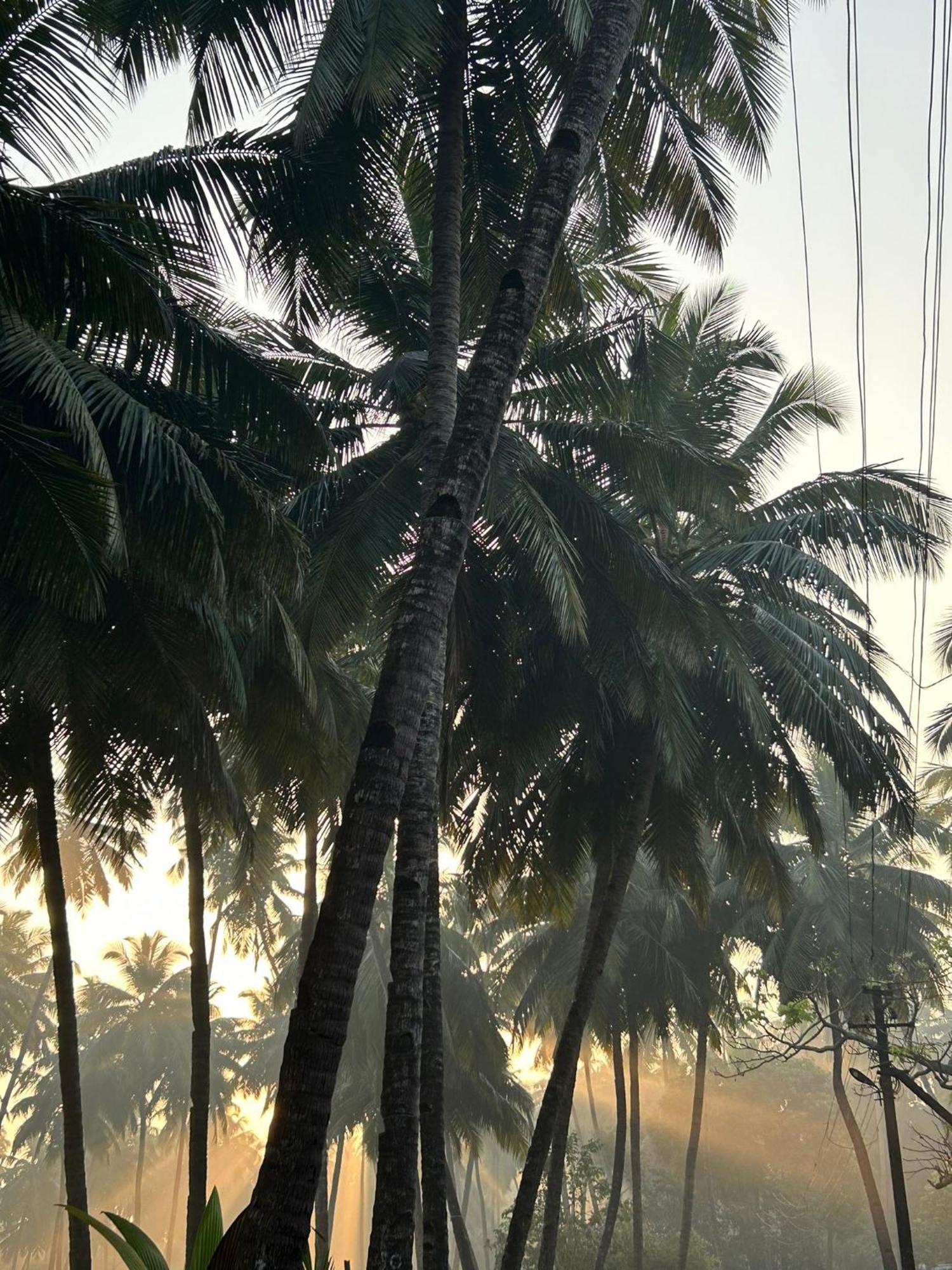 The Bungalow Bogmalo An 1880 Indo Portuguese Heritage Beach Villa South Goa المظهر الخارجي الصورة