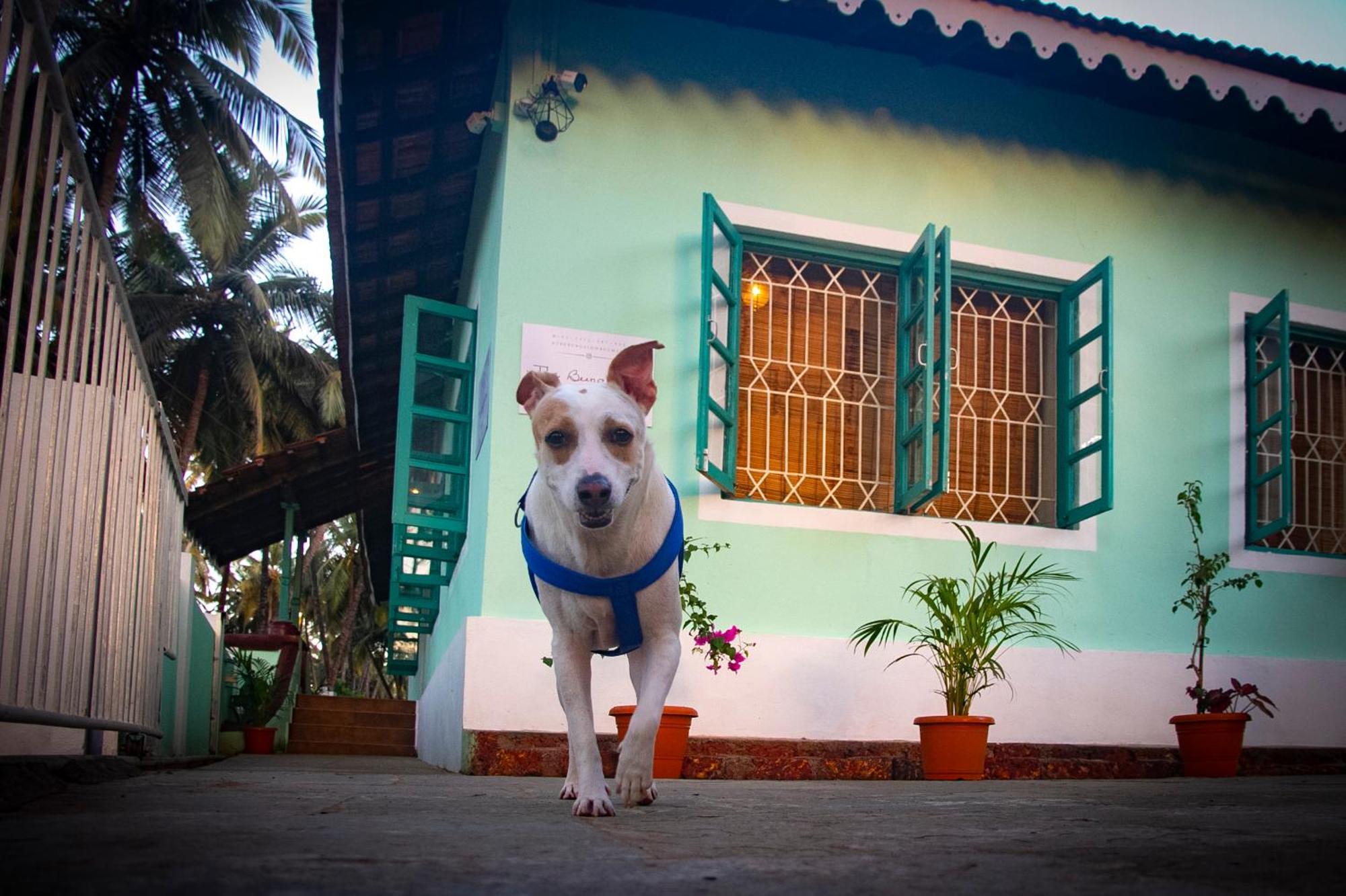 The Bungalow Bogmalo An 1880 Indo Portuguese Heritage Beach Villa South Goa المظهر الخارجي الصورة
