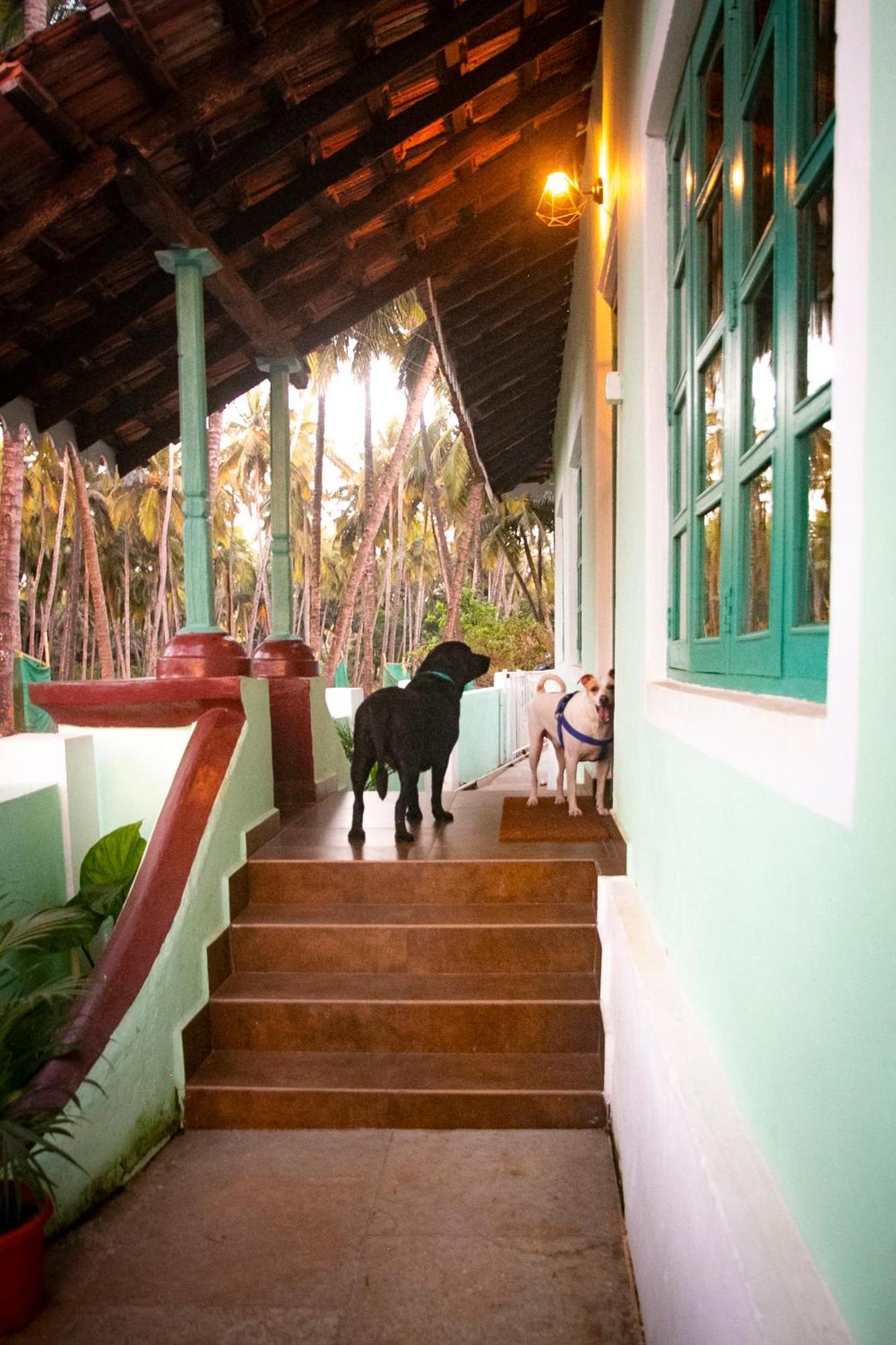 The Bungalow Bogmalo An 1880 Indo Portuguese Heritage Beach Villa South Goa المظهر الخارجي الصورة